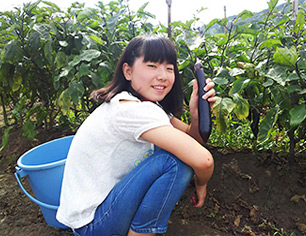 茄子の収穫をしている女の子