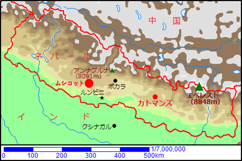 ムシコット市