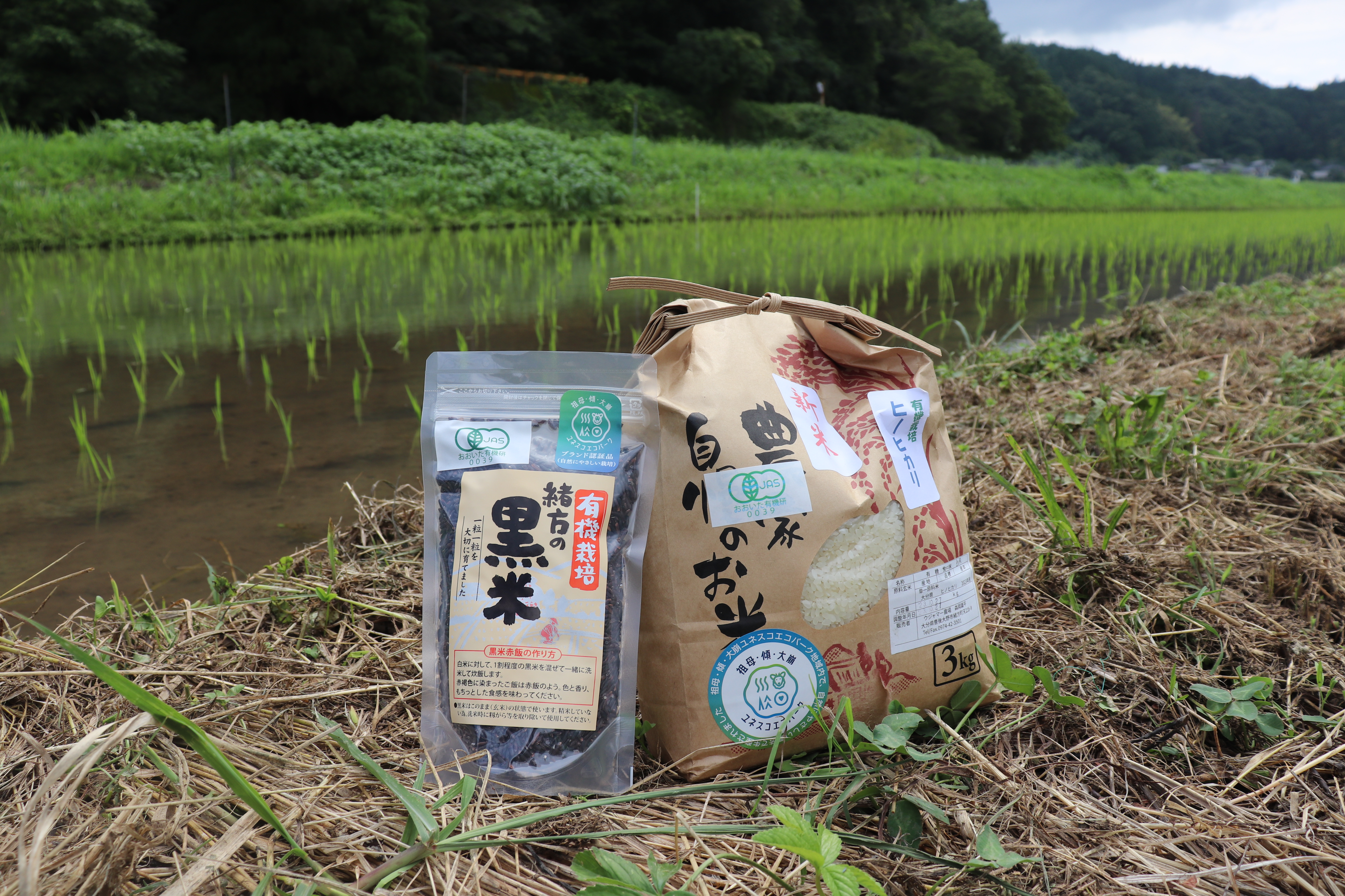 BRブランド認証制度