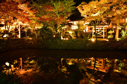 宝生寺2025-02