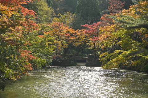 宝生寺2025-03