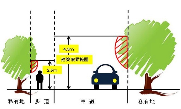 道路上の樹木等伐採図