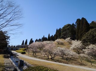 園内風景5