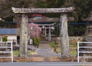 黒松阿蘇社鳥居