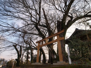 年神社