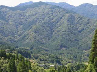 大石樫山