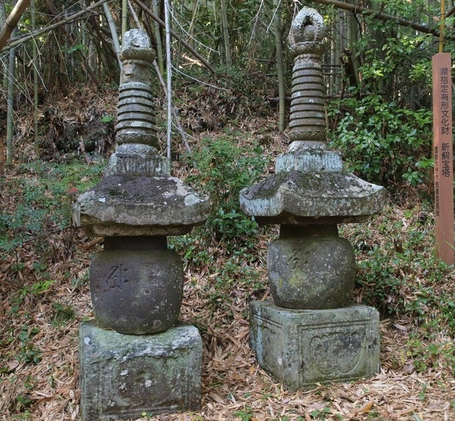新飼宝塔