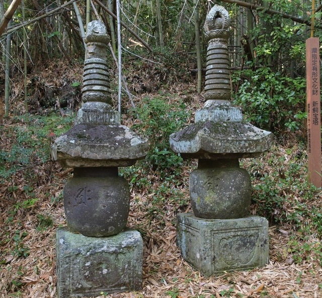 新飼宝塔