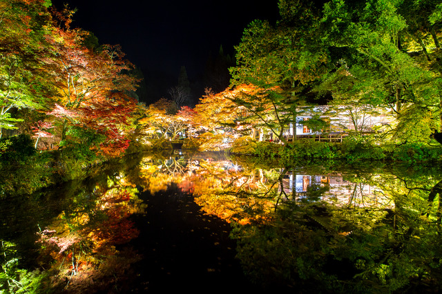 第20回きよかわ「彩」宝生寺の秋