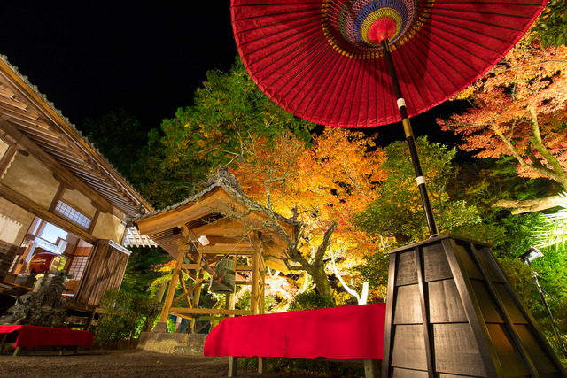 第20回きよかわ「彩」宝生寺の秋