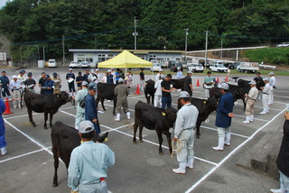 第11回 豊後大野市畜産共進会