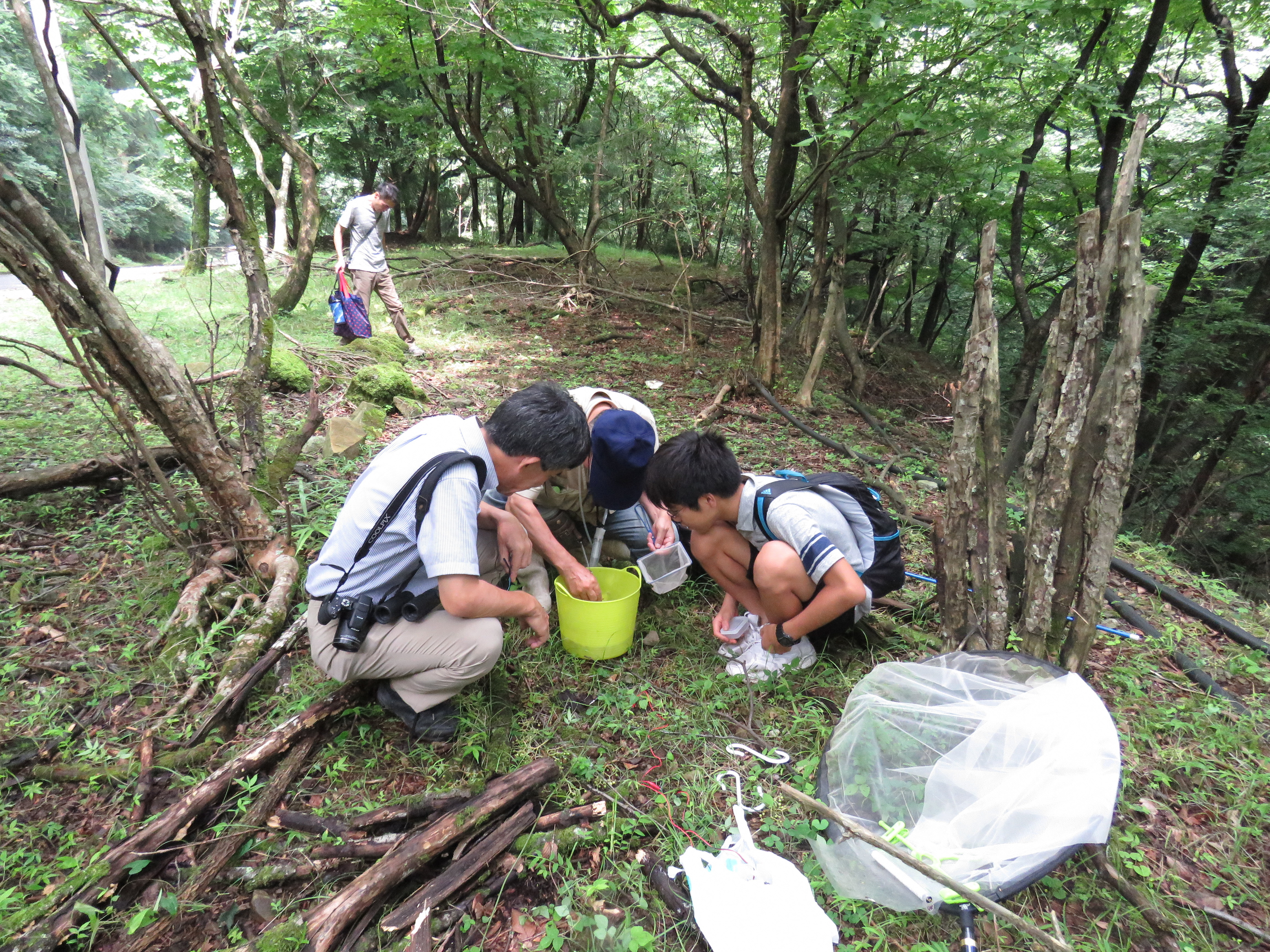 H29生物多様性調査1