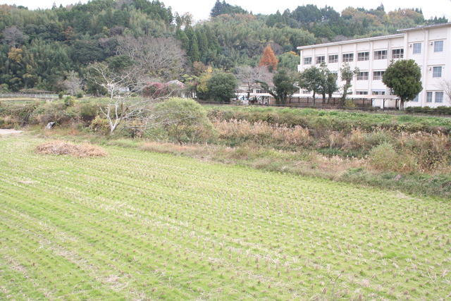 現在の千歳中学校うらの様子