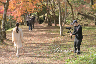 12.紅葉散歩