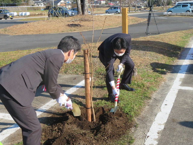 伊藤園様からの桜植樹式2