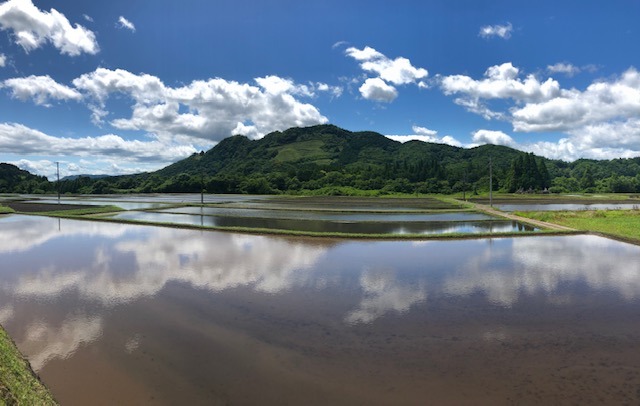 田植え前その1