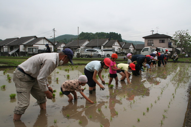 田植えのようす1