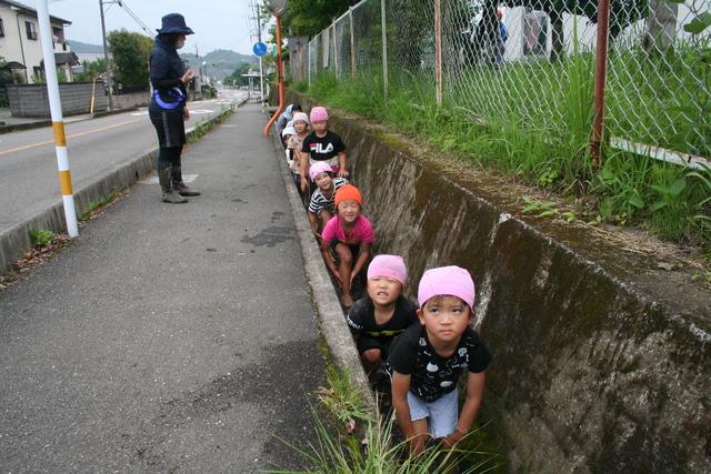 水路で足洗う園児