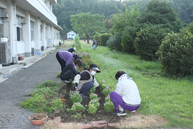 花壇周辺除草