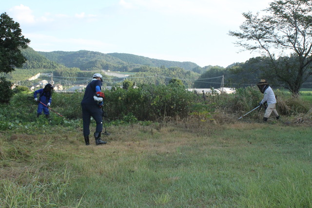 グランド周辺除草