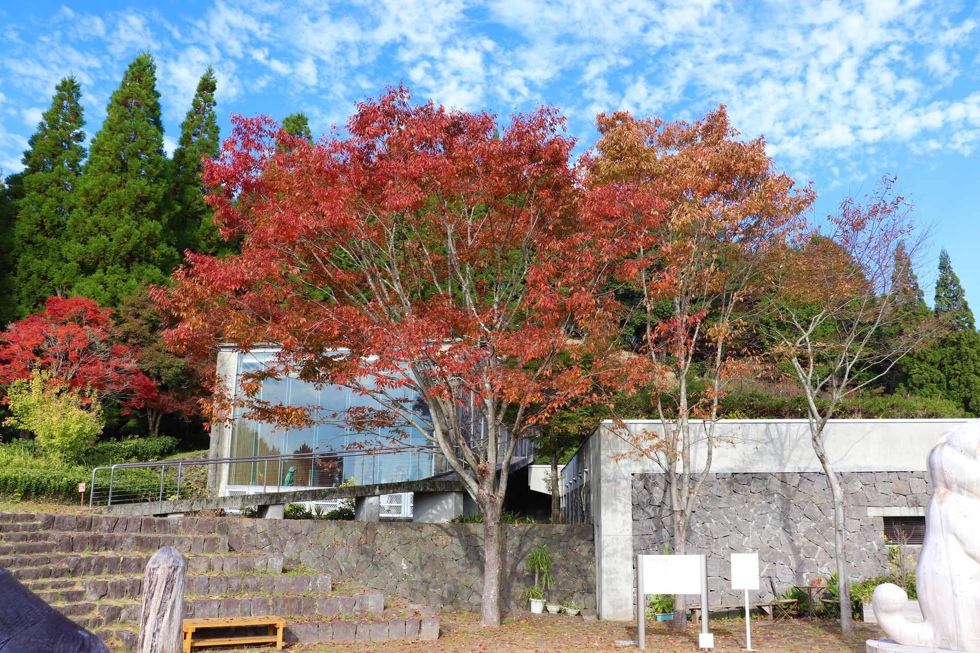 ケヤキと記念館