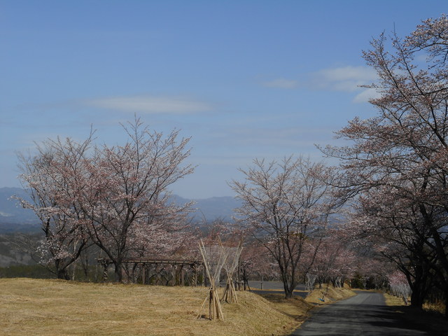 峠