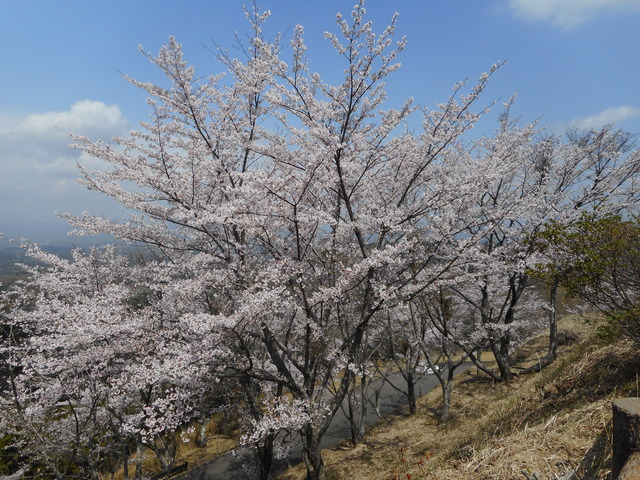 広場