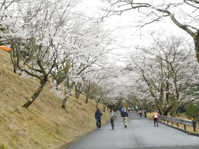 広場