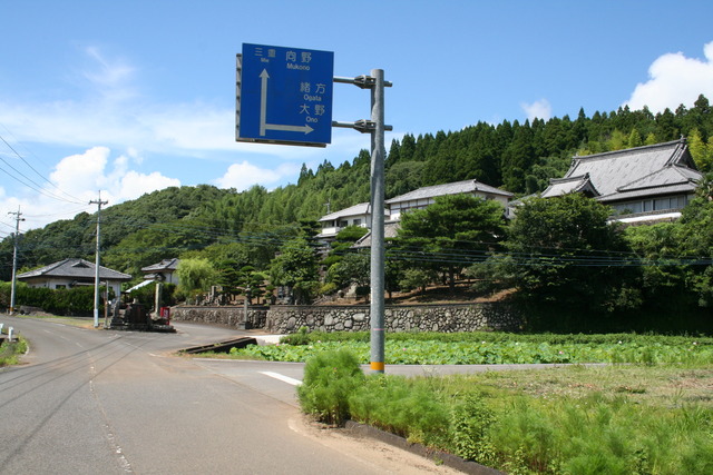 蓮田の遠景