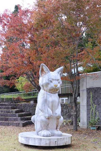 欅・あさにゃん