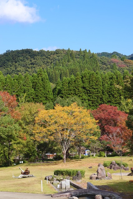 紅葉と公園