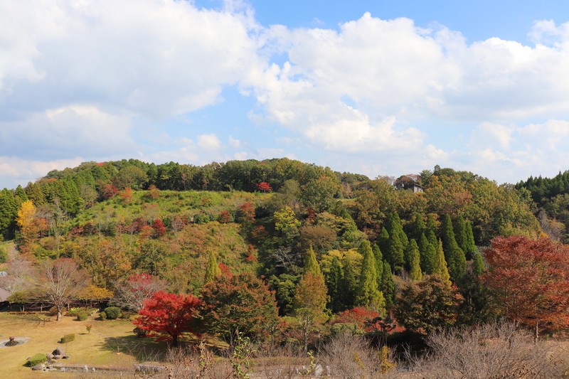 令和5年 紅葉など