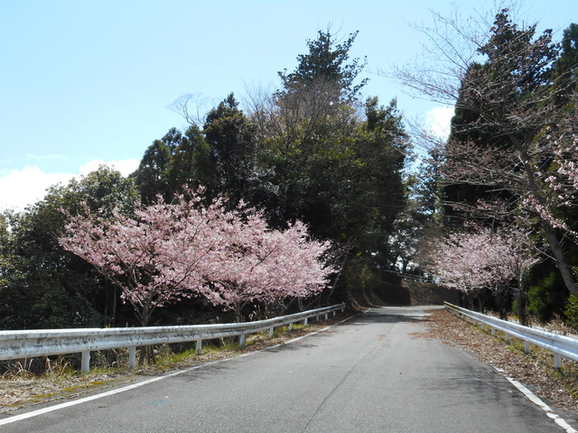 参道