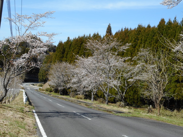 宮迫