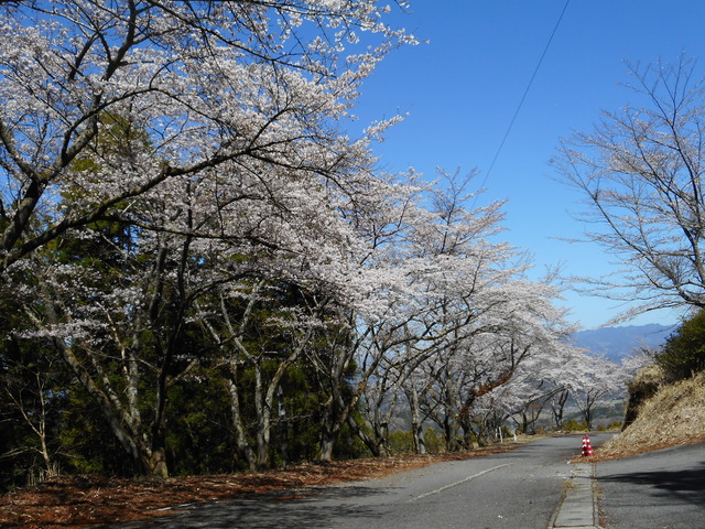 山頂
