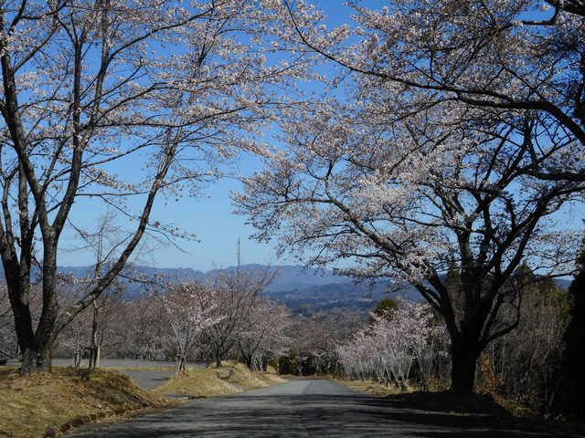 峠