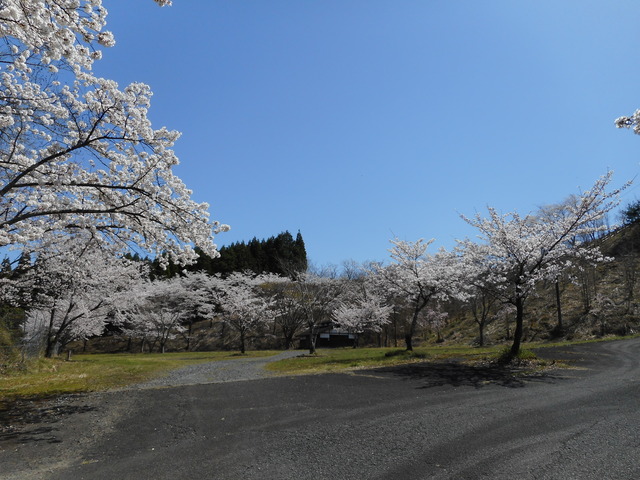 能場公園