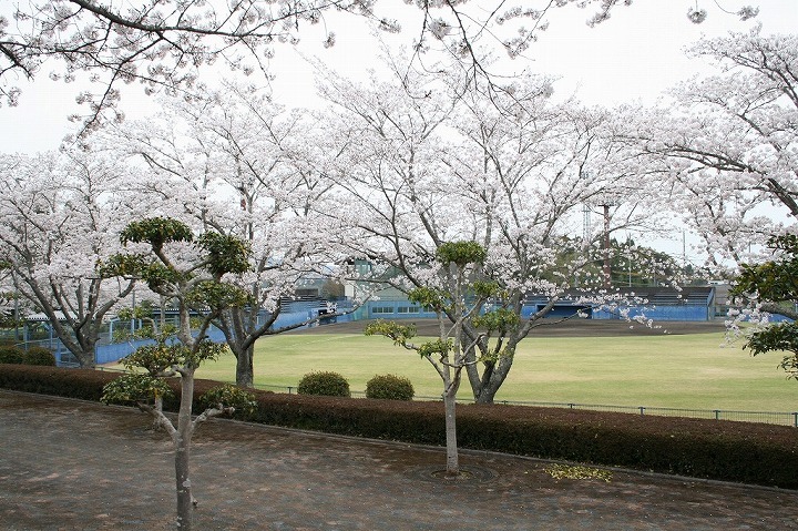 千歳総合運動公園 1