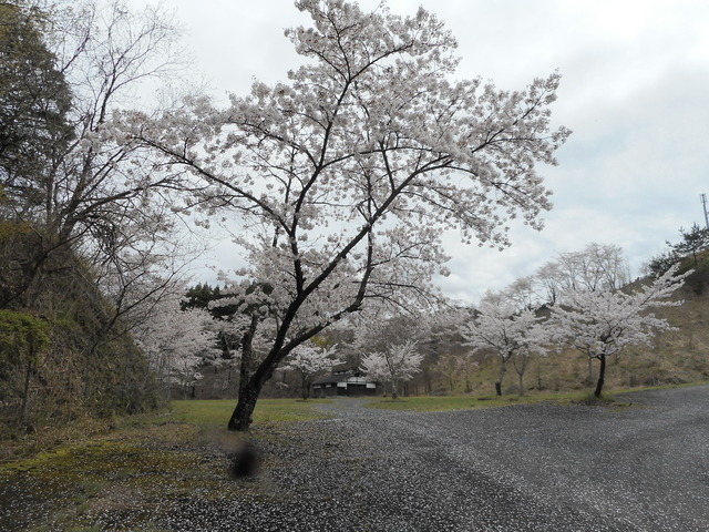 能場