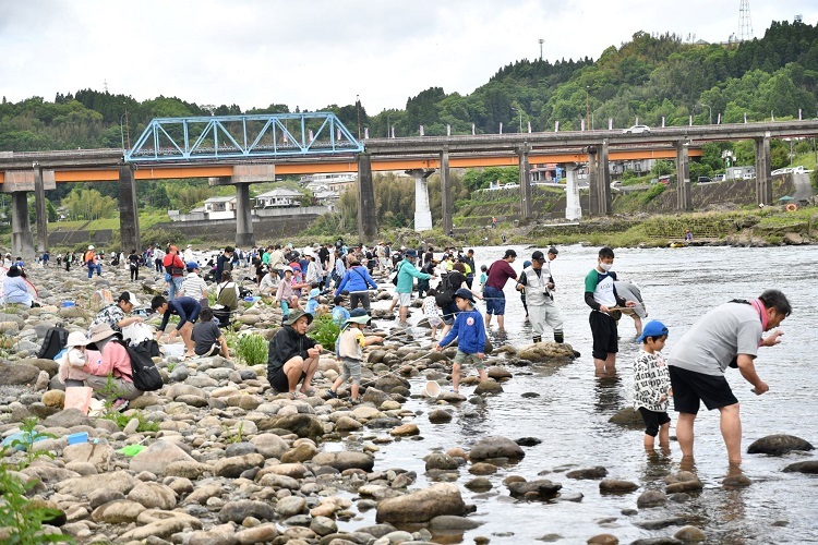 どんこ釣り大会