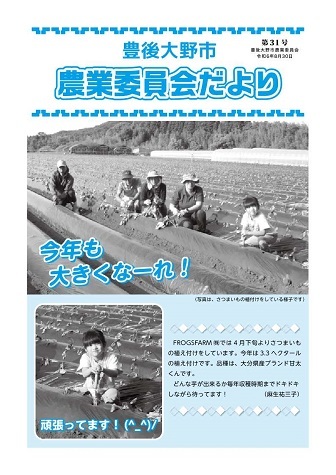 31号表紙