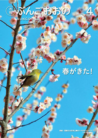 bungoono241