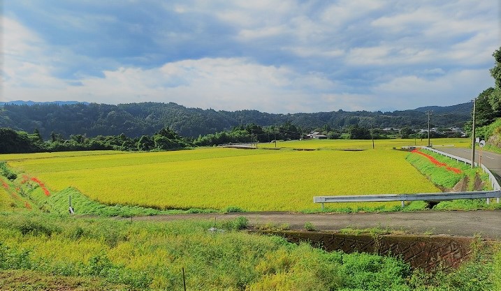 白鹿の里20周年感謝祭8