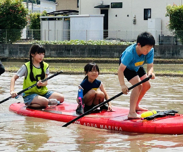 田んぼでSUP7