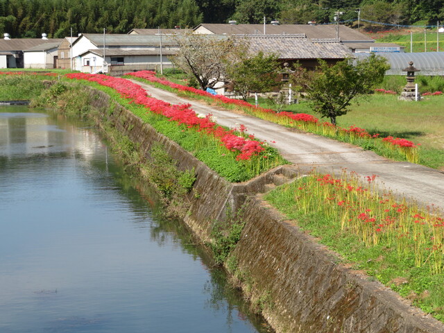 宮迫地区　浅草橋付近