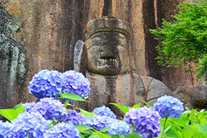 29.普光寺磨崖仏（紫陽花）(B)